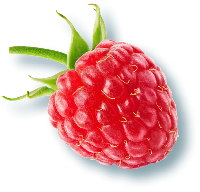 A close-up of a raspberry