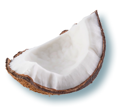 A close-up of a chunk of coconut, showing the white flesh and hard shell