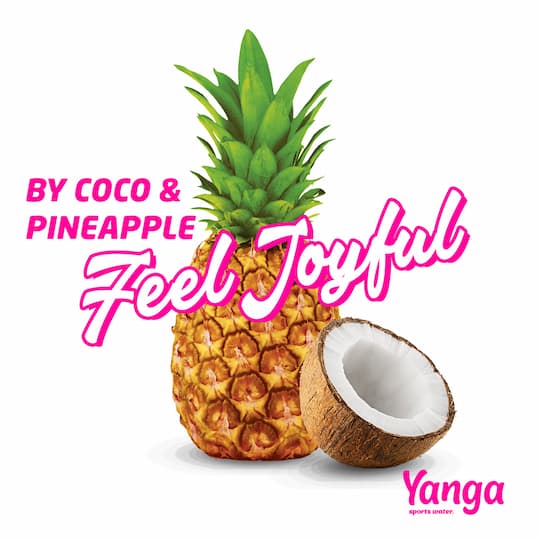 Albumhoes van de kokosnoot ananas afspeellijst