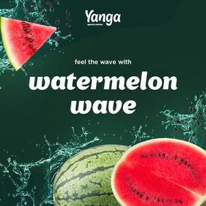 Couverture de l'album de la playlist Watermelon Wave
