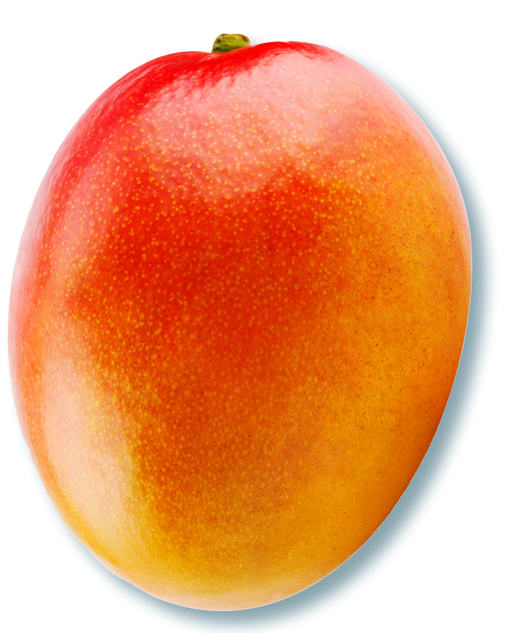 Eine Mango mit einer leuchtend roten und orangefarbenen Schale